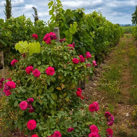 Chateau Vieux Clos Emilion Manon Bed & Breakfast 4*